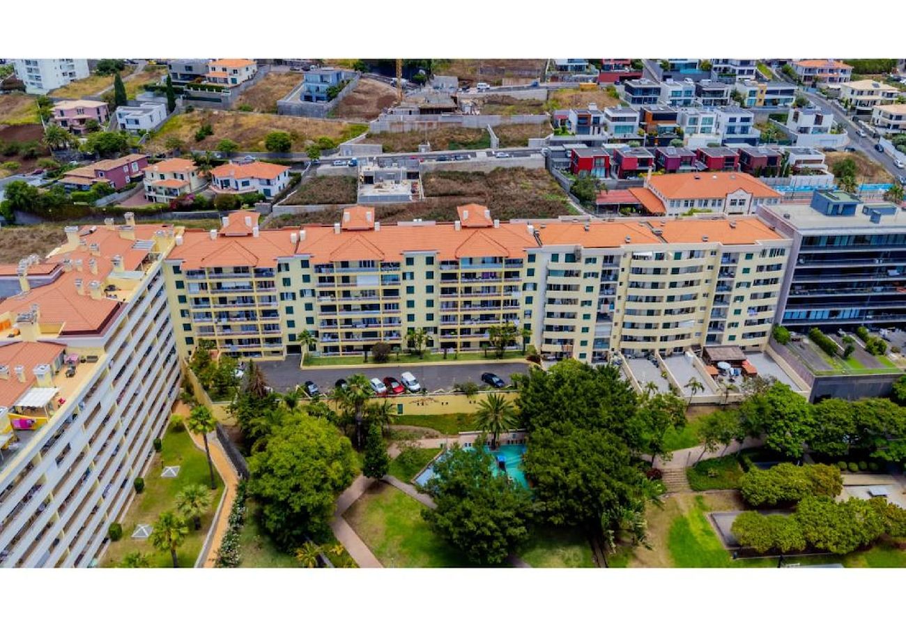 Apartamento em Funchal - Aqua Apartment