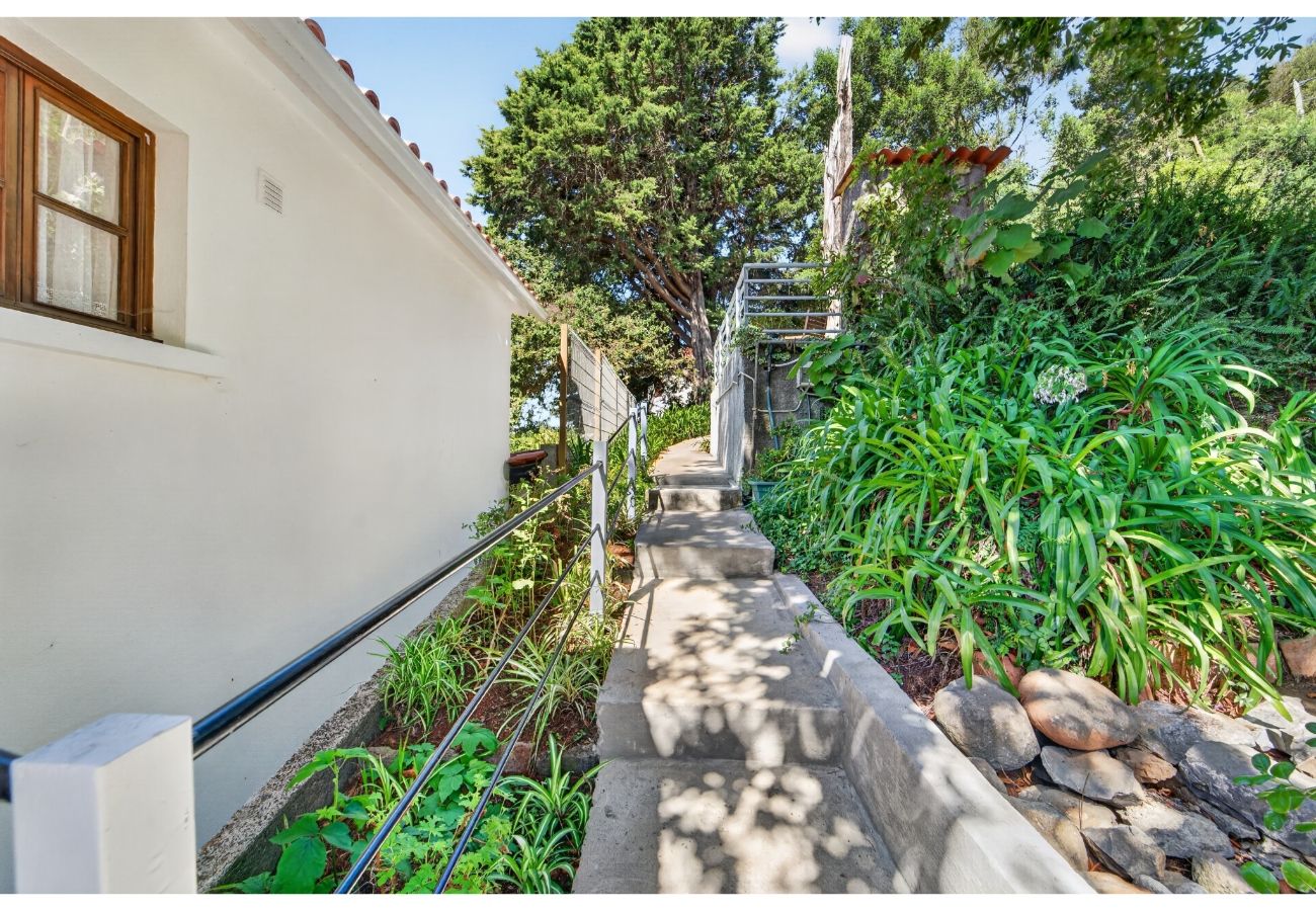 Apartamento em Funchal - Sao Goncalo View Studio