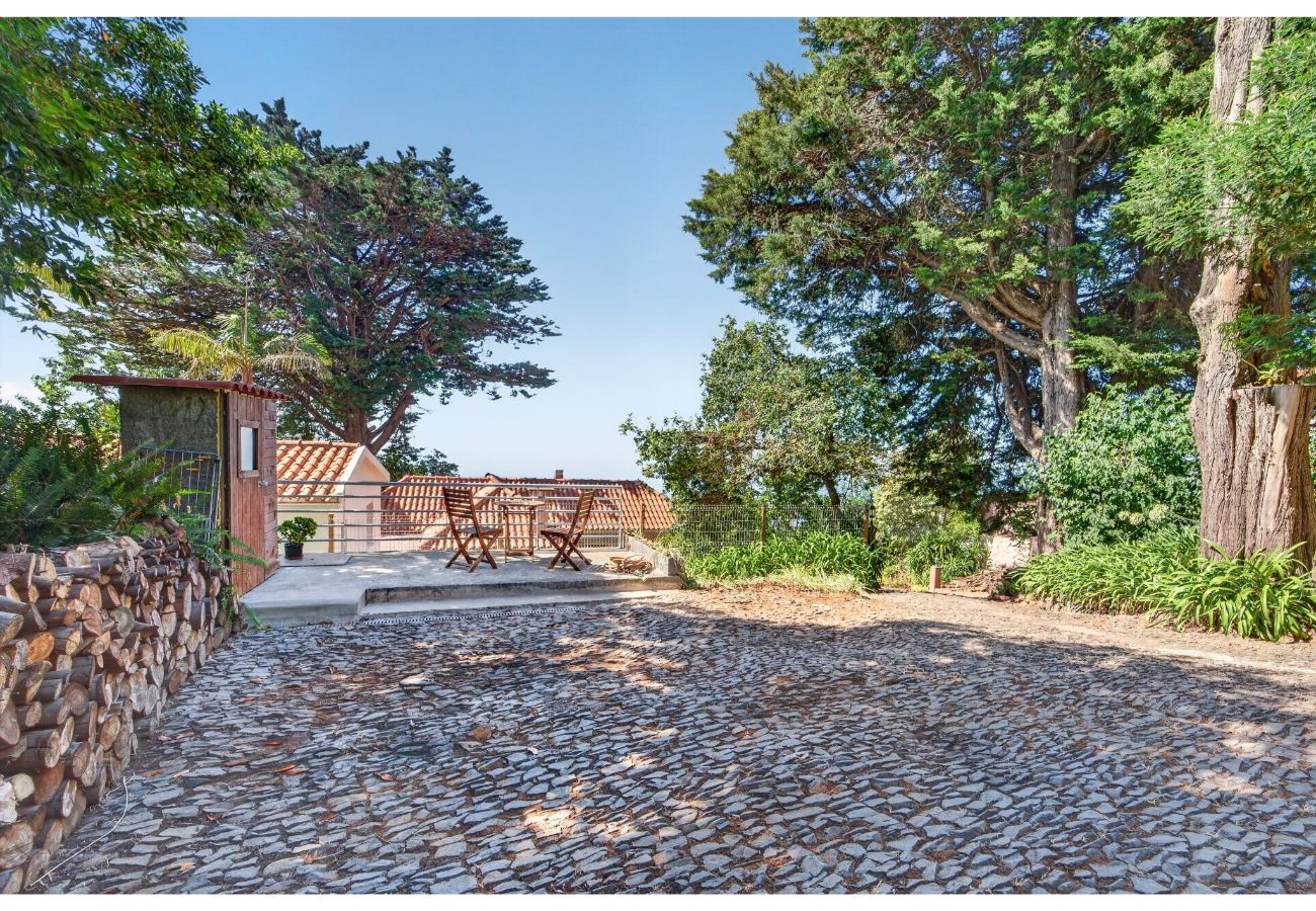 Apartamento em Funchal - São Gonçalo View T1