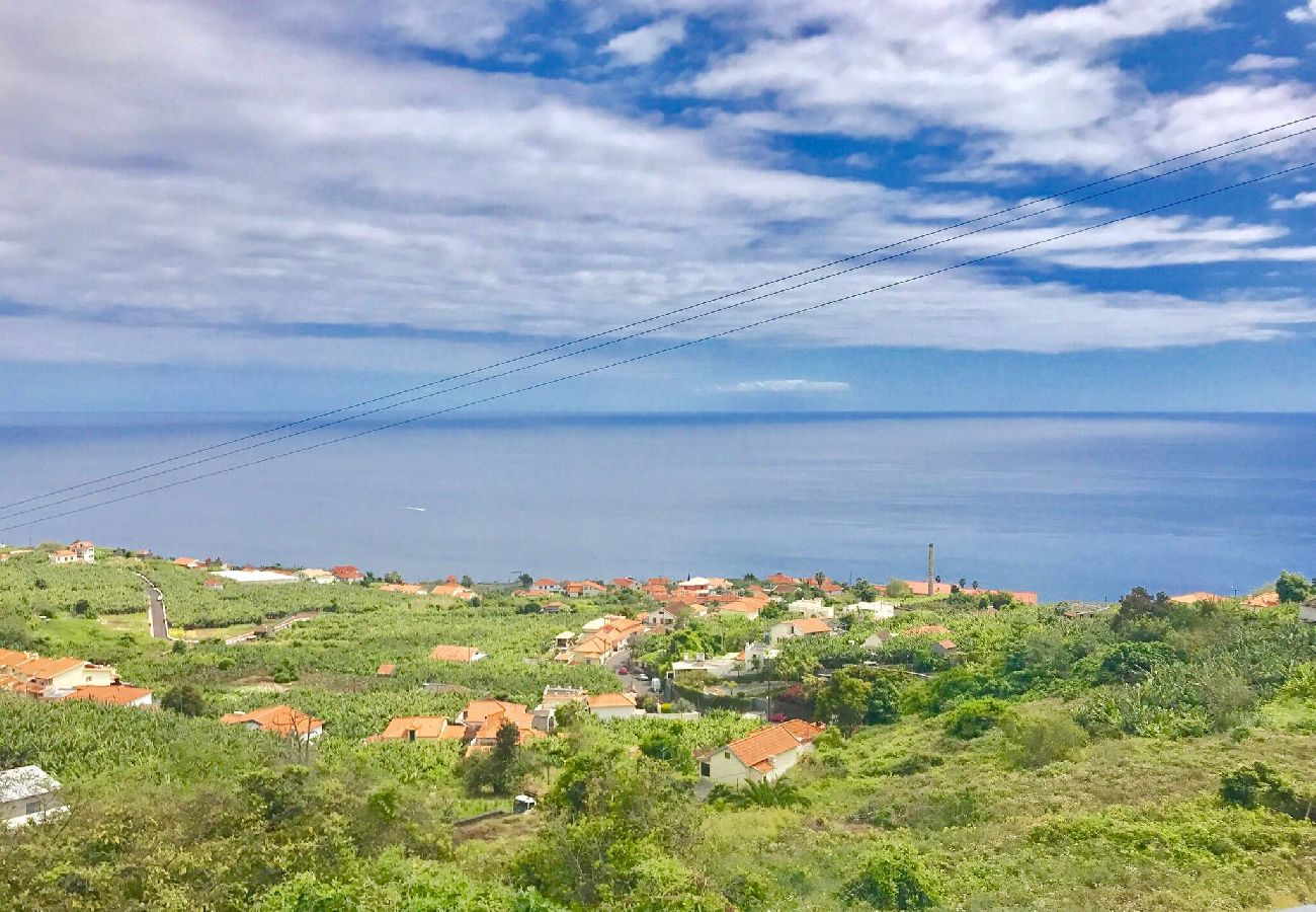 House in Arco da Calheta - Farious Villa A