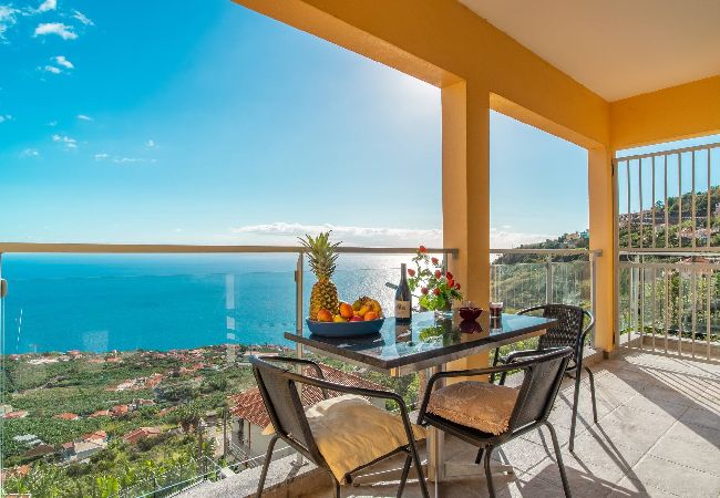 Villa in Arco da Calheta - Villa Casanova