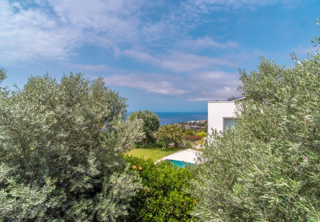 Villa in Funchal - Villa Victoria  20