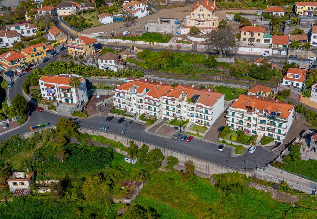 Apartment in Funchal - Apartment Baly Formosa