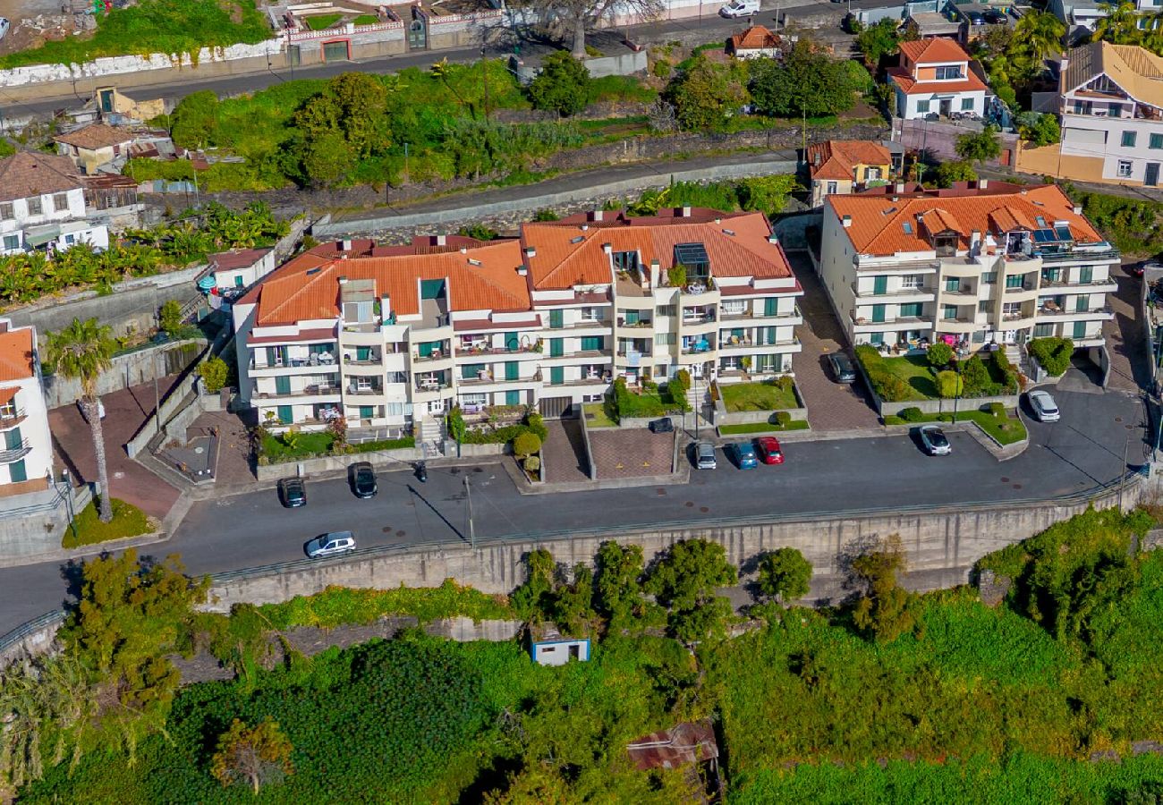 Apartment in Funchal - Apartment Baly Formosa