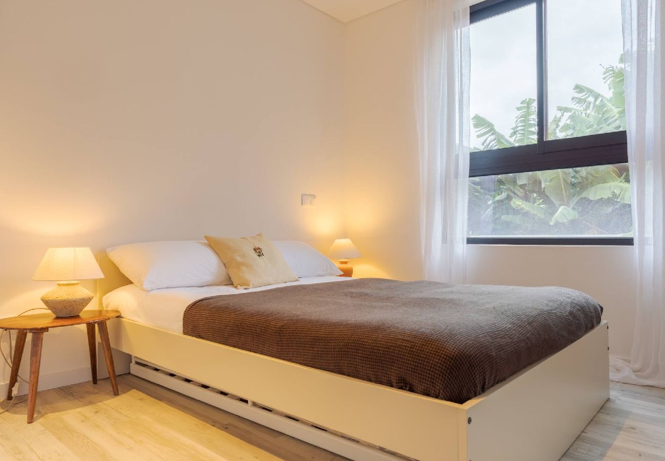Apartment in Funchal - All you need Apartment C. Center