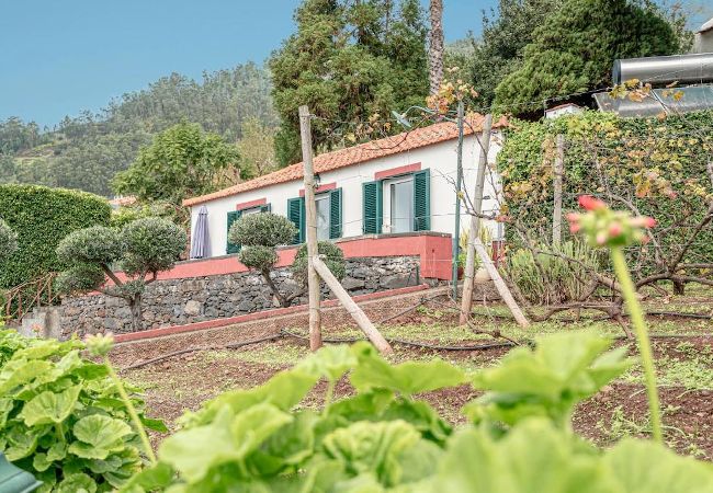 House in Arco da Calheta -  Quinta vista Mar T3