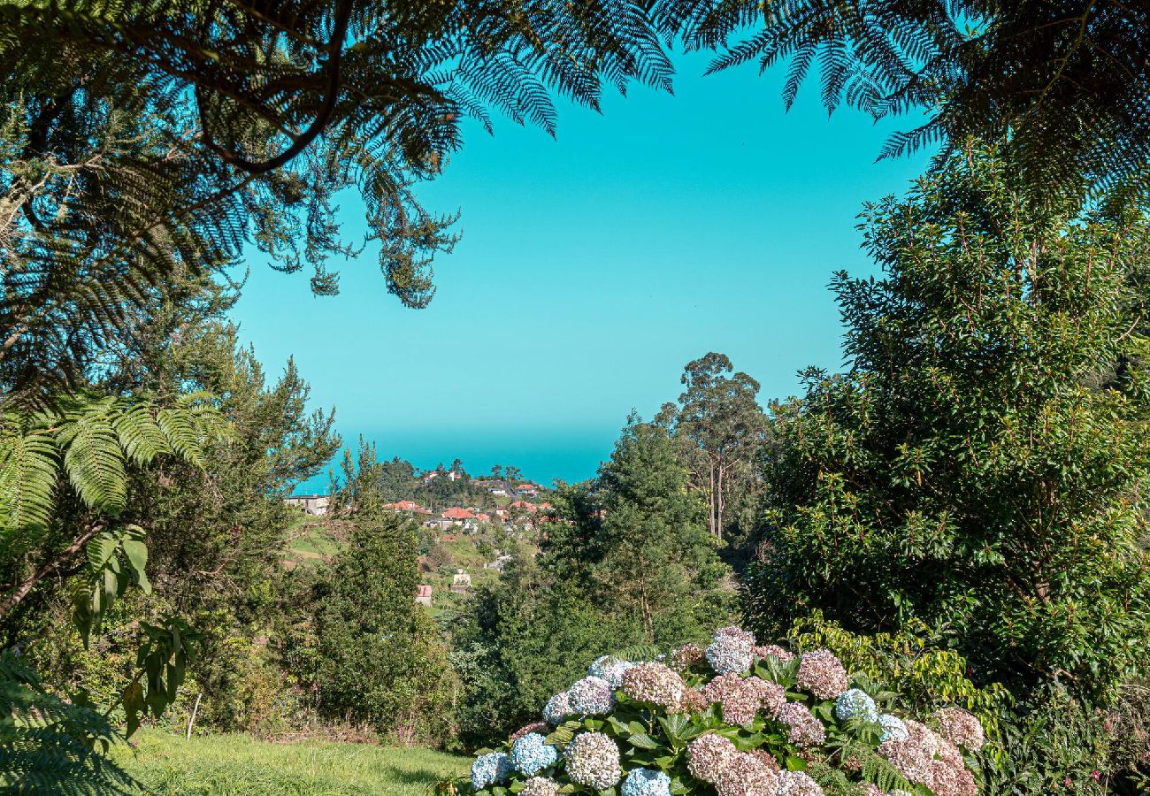 House in São Jorge - Villa de São Jorge