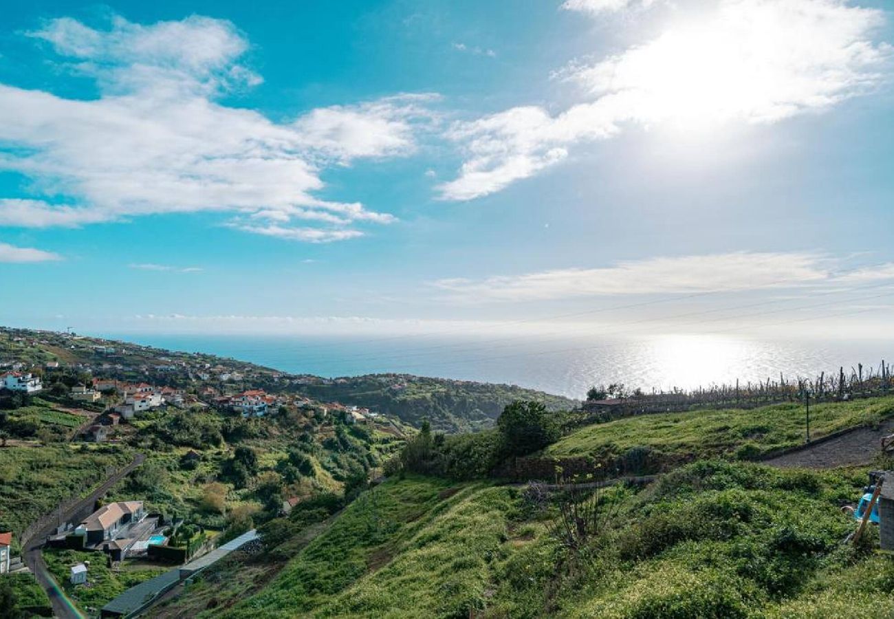 House in Estreito Calheta - Quinta das pitaias de Cima