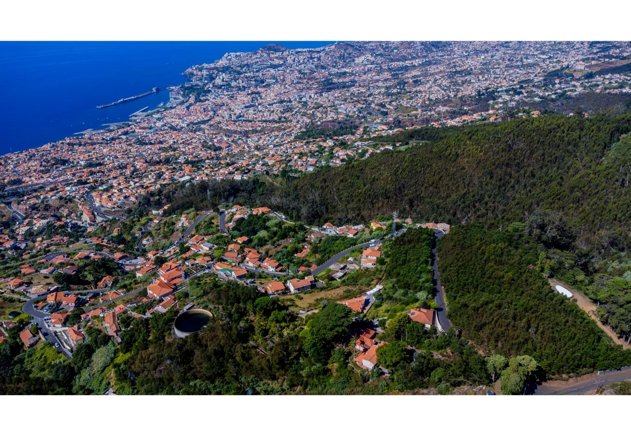 Apartment in Funchal - Sao Goncalo View Studio