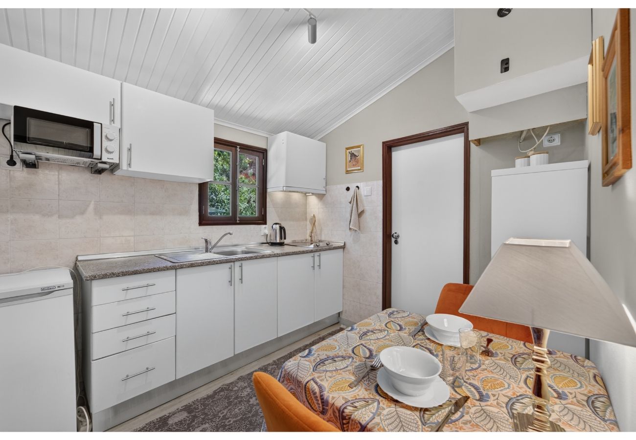 Apartment in Funchal - Sao Goncalo View Studio