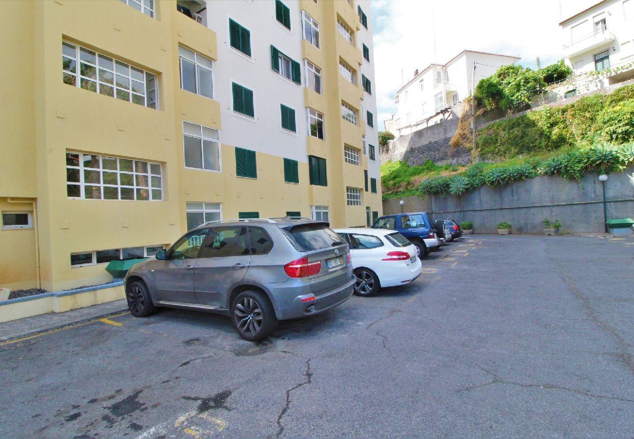 Апартаменты на Funchal - Grey  View Apartment