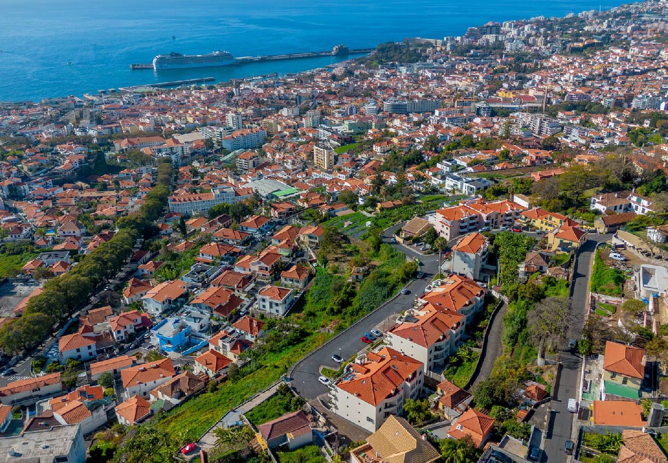 Апартаменты на Funchal - Apartment Baly Formosa
