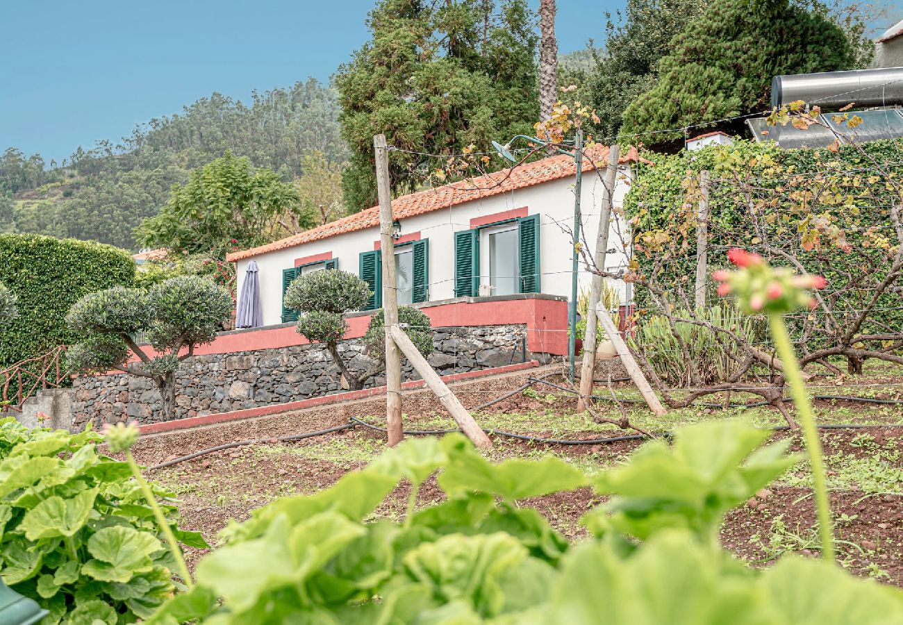 Дом на Arco da Calheta - Quinta vista Mar B