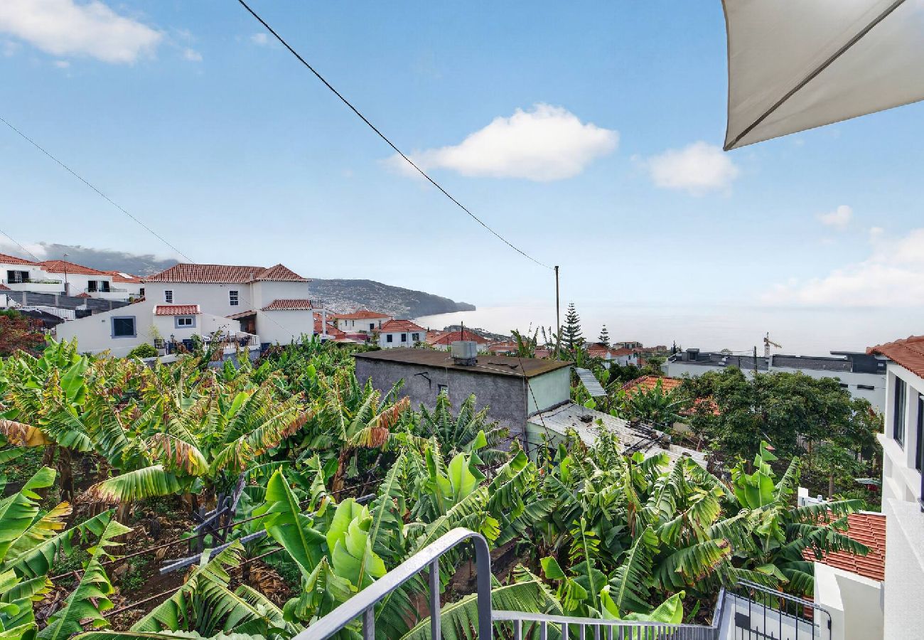 Апартаменты на Funchal - Panoramic Studio Apartment